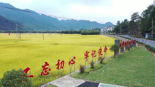 临安 於潜 美丽城市 美丽乡村 桥 流水