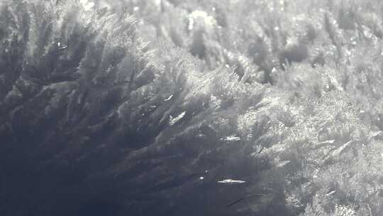 太阳下的雪花冰晶特写和白霜特写