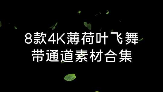 8款4K带通道款薄荷叶素材AE视频素材教程下载