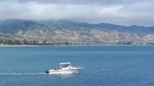 夏威夷欧胡岛北岸的鲨鱼之旅景点水上运动