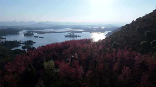 山水间的多彩植被景观俯瞰全景