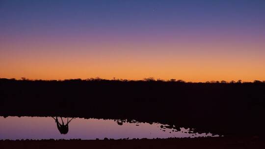 纳米比亚埃托沙国家公园日落