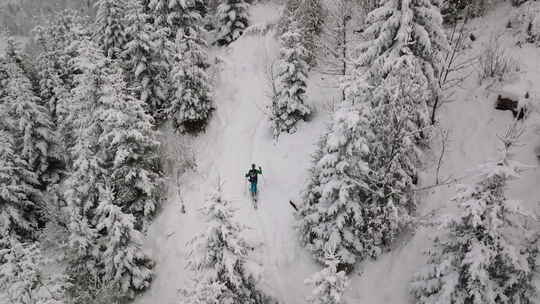 穿越白雪覆盖的森林视频素材模板下载