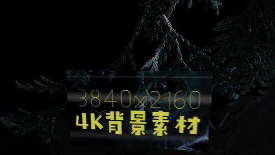 4K静帧大图：雪地松枝AE视频素材教程下载