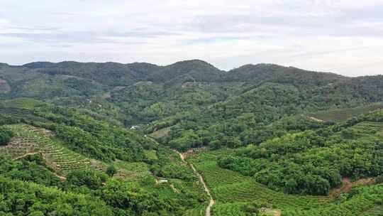 航拍三亚山岭风景