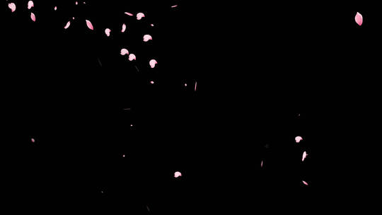 桃花花瓣飞舞透明背景视频素材模板下载
