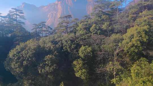 安徽黄山风景视频素材