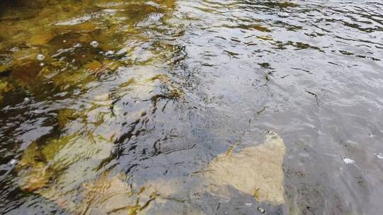 4k  户外山体公园湖泊溪流和流水自然风光