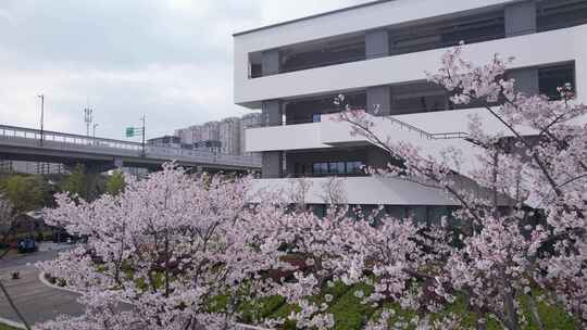 绍兴艺术学校