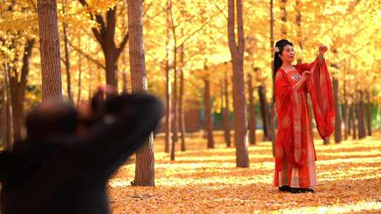 女子穿汉服银杏林拍照