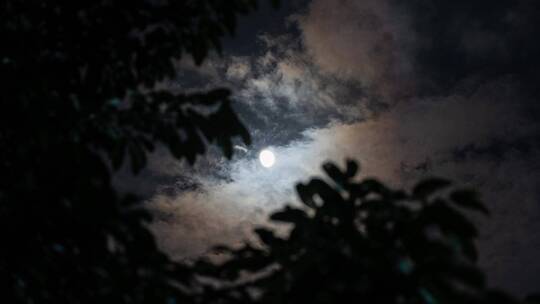 简约夜晚天空月亮云层移动