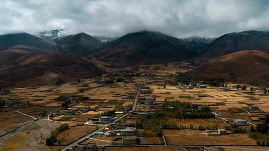 藏区川西牧场