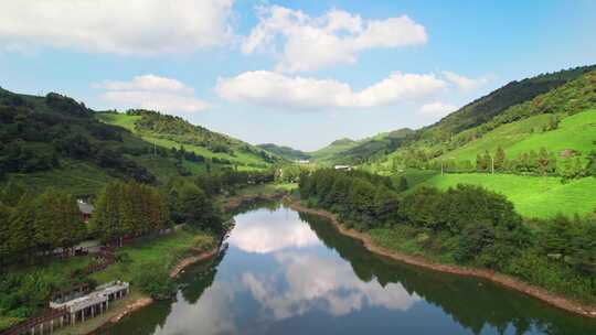 金华东白山水库茶园风景航拍