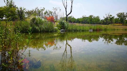 4K高清实拍昆明池清澈的河水湖面倒映