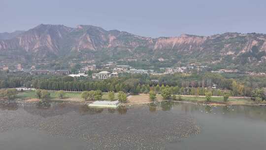 平陆天鹅湾景区