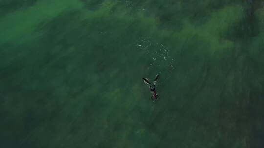 鸟瞰水肺潜水员在海洋水中用矛捕鱼