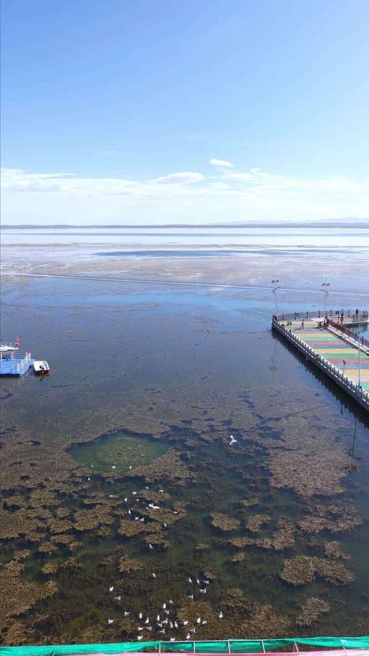 青海克鲁克湖生态湿地风光