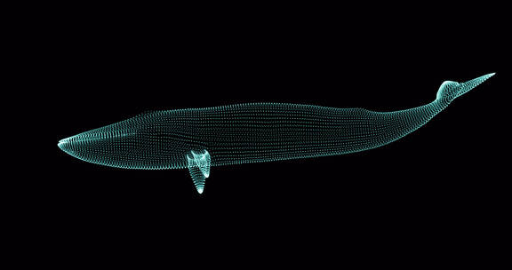 唯美蓝鲸02粒子鲸鱼 鲸鱼游动鲸发光荧光