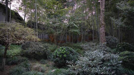 杭州飞来峰永福寺禅院风景