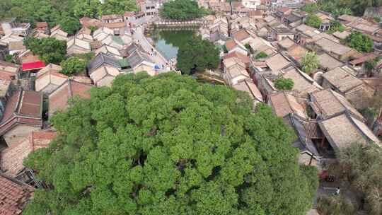 东莞南社古村落风景区航拍