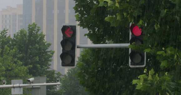 大雨中的红绿灯交通信号灯