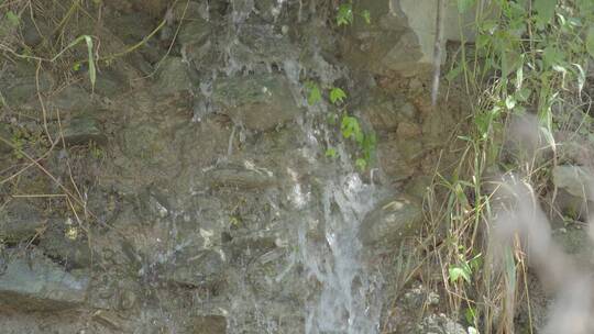 河流小溪青草泉水河边河水溪流