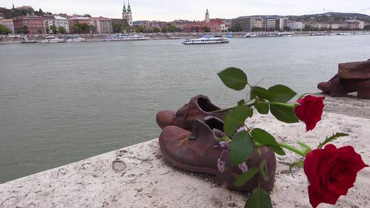 多瑙河岸上插着玫瑰花的鞋子