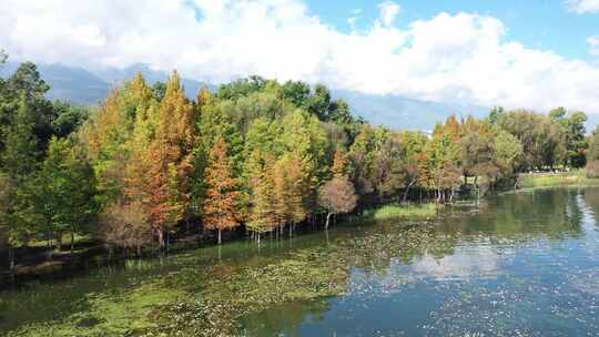 大理洱海大理湖泊秋天秋景航拍