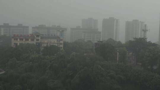 一场夏季的暴雨来到城郊