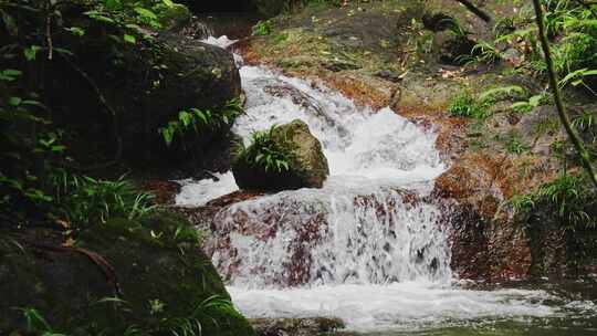 山涧自然小溪流水山泉水