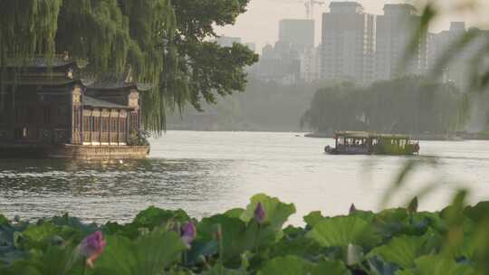 山东济南大明湖风光