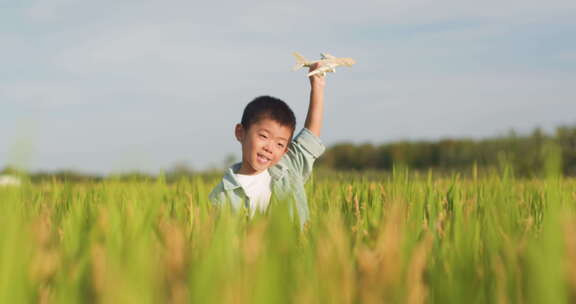小朋友稻田手拂麦穗玩耍玩飞机