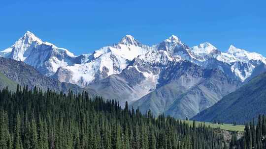 新疆昭苏夏塔雪山