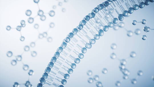 透明磷脂双分子细胞膜结构3D渲染视频素材模板下载