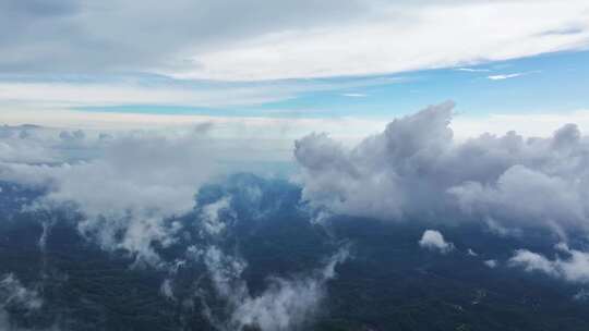 海南乐东县尖峰岭国家森林公园热带雨林