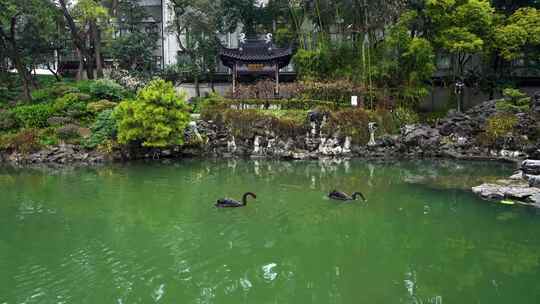 （合集）春天下雨天江南古典园林春雨风光