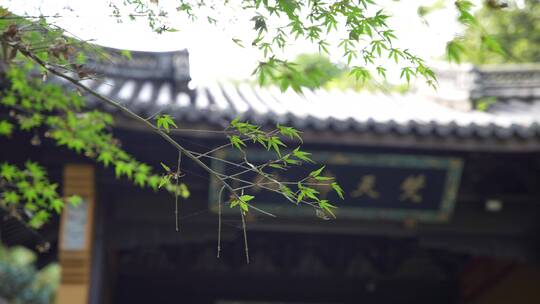 杭州飞来峰永福寺禅院风景