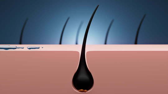 药物治疗毛发皮肤发囊炎4k