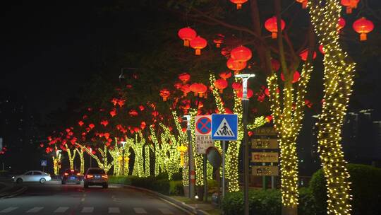 4k春节夜晚南方路边挂在树上的灯笼实拍