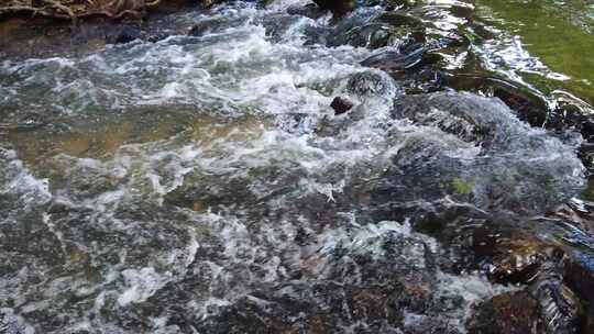 山间小溪水河流水树木枝叶视频