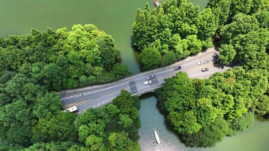 中国杭州西湖风景名胜区杨公堤