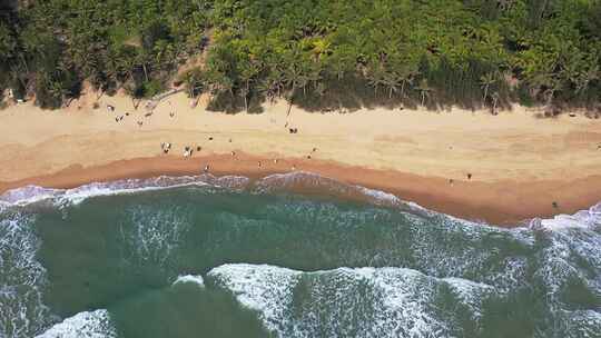 航拍三亚海棠湾海边沙滩浴场