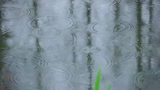 下雨天 雨水滴落在公园湖泊视频素材模板下载