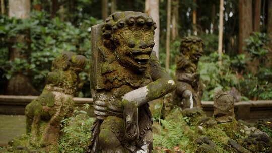 巴厘岛传统苔藓石像视频素材模板下载