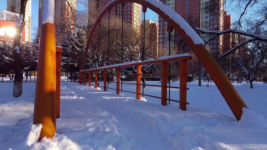 冬天公园老树小河雪景