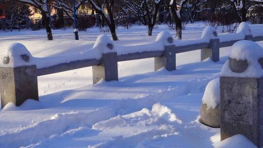 冬天公园老树小河雪景