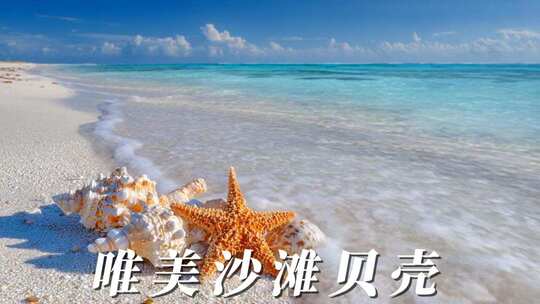 沙滩贝壳唯美沙滩浪花
