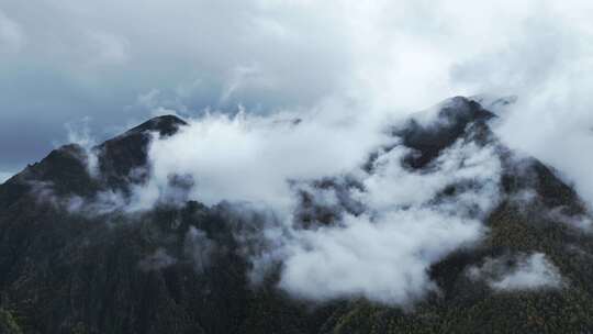 无人机航拍西藏林芝秋天高山林海云雾景观