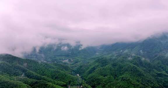 广西山区竹林竹海竹山云海翻滚航拍