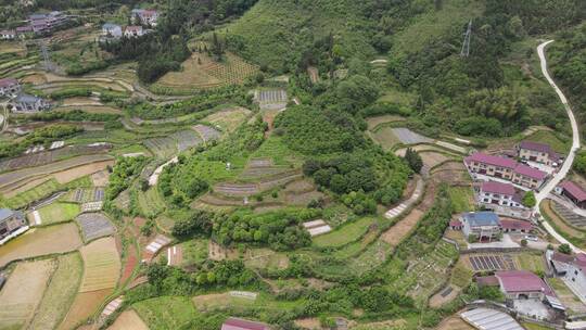 航拍乡村田园农业种植基地视频素材模板下载